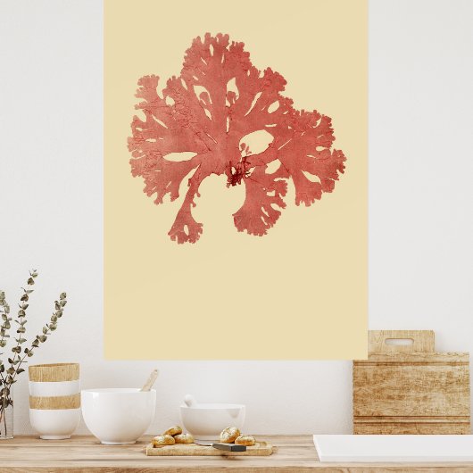 Eerste derde van vier geperste zeewier poster (Keuken)