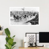 Eerste hond Alaska 1910 Poster (Thuiskantoor)