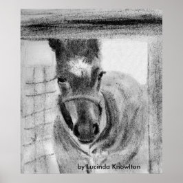 Eerste keer uit Lucinda Knowlton Poster