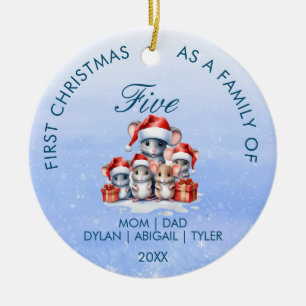 Eerste kerst als een Family Circle Ornament