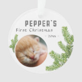 Eerste kerst Pine Kitten Cat 2 Foto Keepsake Ornament (voorkant)