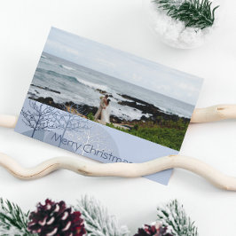 Eerste kerstblauwe vakantieboom of foto's feestdagen kaart