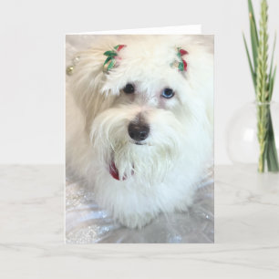 Eerste Kerstdag Kaart