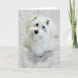 Eerste Kerstdag Kaart