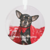 Eerste kerstfeest ornament (achterkant)