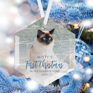 Eerste kerstfeest voor altijd thuis huisdier foto glas ornament