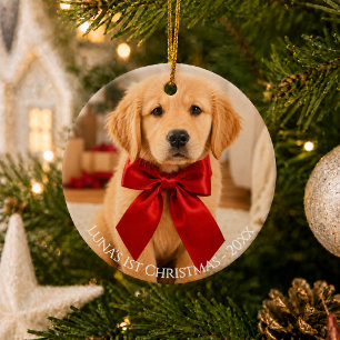 Eerste kerstfoto golden retriever keramisch ornament