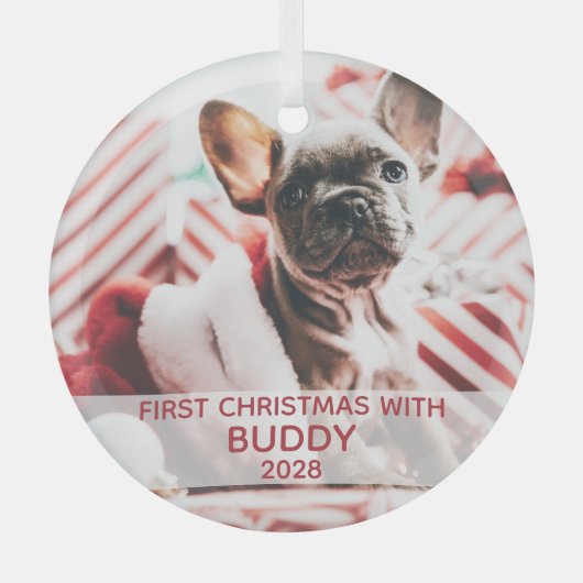 Eerste kerstfoto met hond en naam schattig glas ornament (Voorkant)
