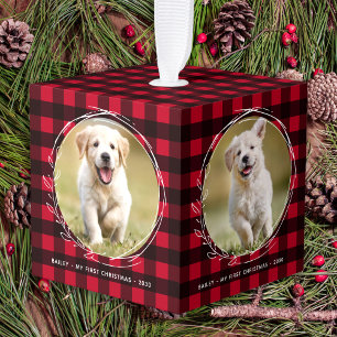 Eerste kerstfoto van Red Pset Puppy Dog 4 Pet Kubus Ornament