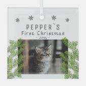 Eerste Kerstkerst Kat Kat Pine Foto Keepomwille Glas Ornament (Voorkant)