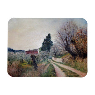 EERSTE LENTE IN VERNALESE / Landschap in Toscane Magneet