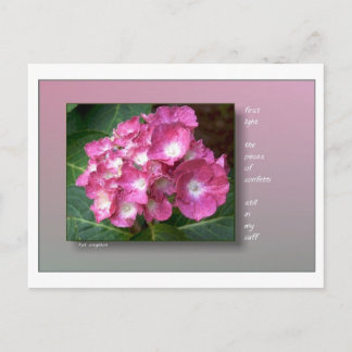 Eerste licht met Hydrangeas Briefkaart
