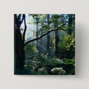 Eerste lichte Button