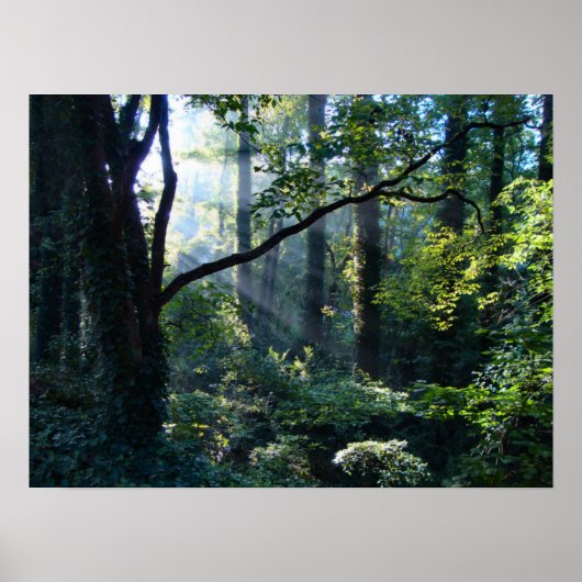 Eerste lichte druk poster (Voorkant)