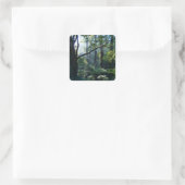 Eerste Lichte Stickers (Tas)