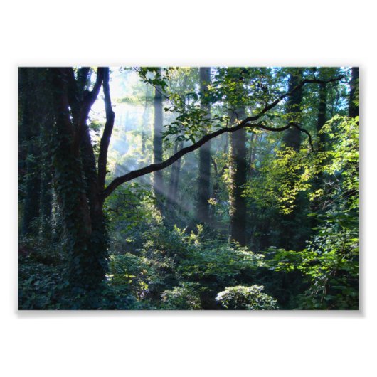 Eerste lichtfoto afdrukken foto afdruk (Voorkant)