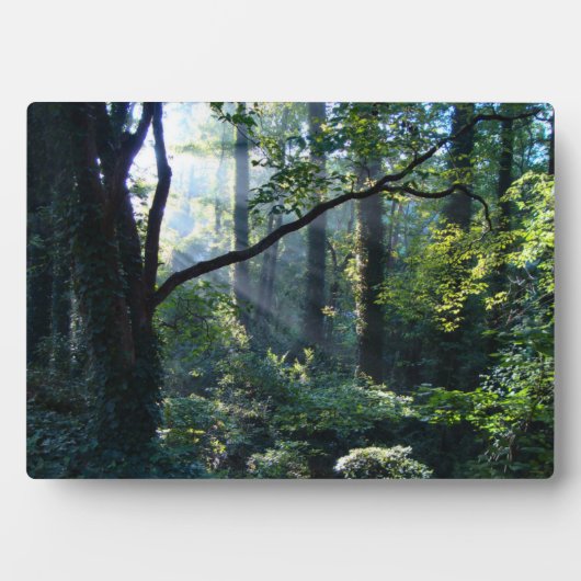 Eerste lichtfoto fotoplaat (voorkant)