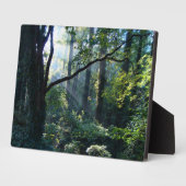 Eerste lichtfoto fotoplaat (Zijkant)