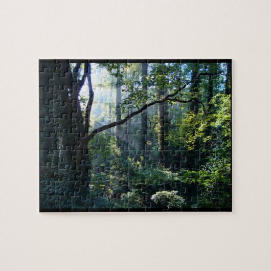 Eerste lichtpuzzel legpuzzel (Horizontaal)