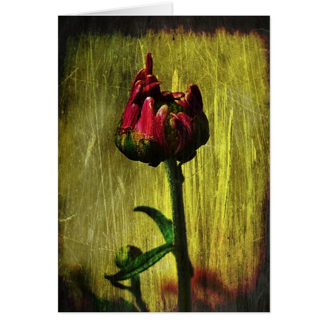 Eerste mum (Voorkant)