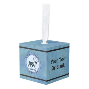 Eerste Polar Airlift Sqdn - Ondergedompeld Kubus Ornament