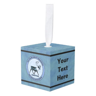 Eerste Polar Airlift Sqdn - Ondergedompeld Kubus Ornament