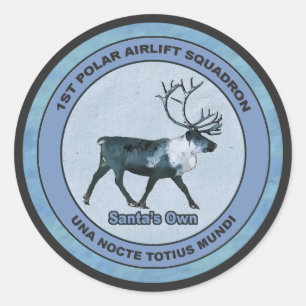 Eerste Polar Airlift Sqdn - Ondergedompeld Ronde Sticker