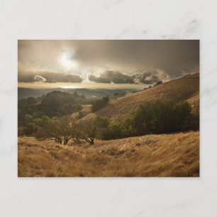 Eerste regen van het seizoen briefkaart