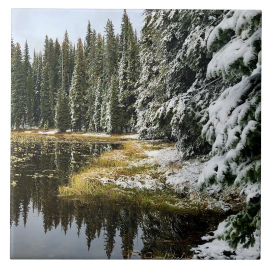 Eerste sneeuw op Golden Waters Tegeltje (Voorkant)