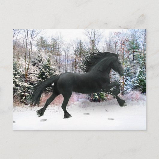 "Eerste sneeuwrun" Briefkaart (Voorkant)