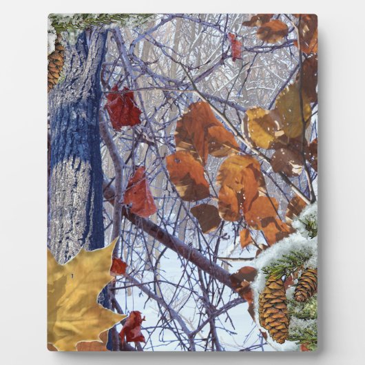 Eerste sneeuwwintercamouflage afdrukken fotoplaat (Voorkant)