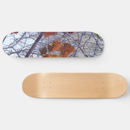 Eerste sneeuwwintercamouflage stijl skateboard (Horizontaal)
