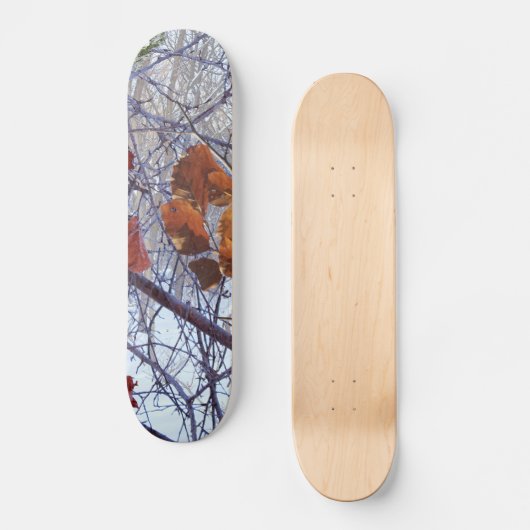 Eerste sneeuwwintercamouflage stijl skateboard (Voorkant)