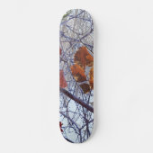 Eerste sneeuwwintercamouflage stijl skateboard (Voorkant)