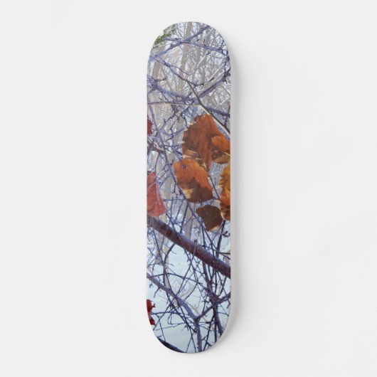 Eerste sneeuwwintercamouflage stijl skateboard (Voorkant)