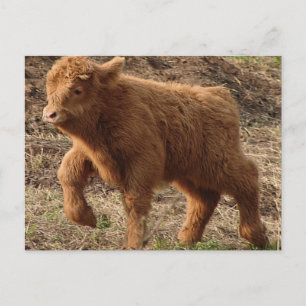 eerste stappen briefkaart