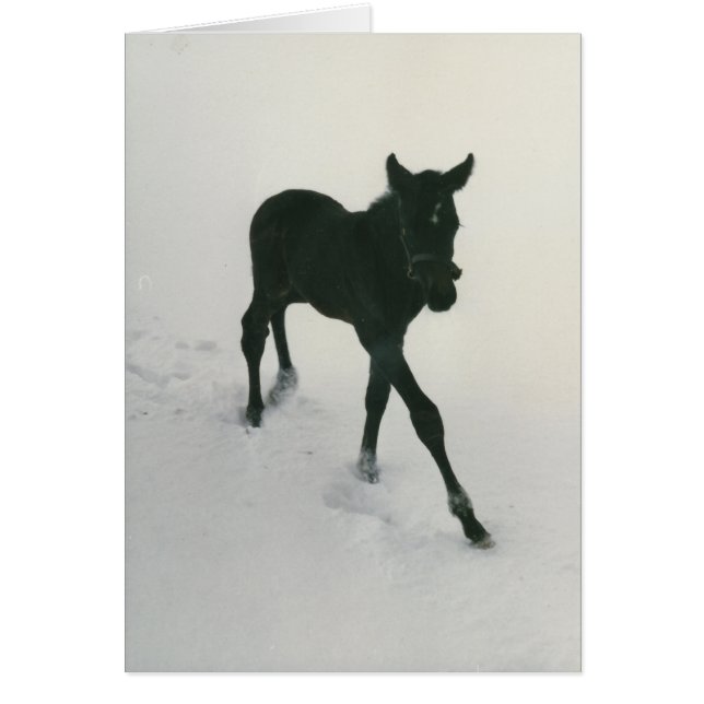 Eerste stappen in de sneeuw (Voorkant)