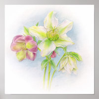 Eerste teken van de waterverf van de voorjaarshell