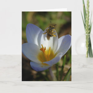 Eerste tekenen van de lente kaart