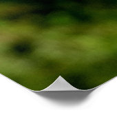 Eerste tekenen van Herfst Poster Print (Hoek)