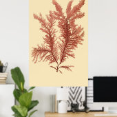 Eerste van vier samengeperste seaweed-reeks poster (Thuiskantoor)