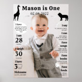 Eerste Verjaardagsfoto Milestone Poster (Voorkant)