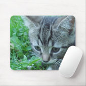 Eerste verkenning muismat (Met muis)