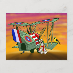 Eerste Wereldoorlog Flying Ace briefkaart