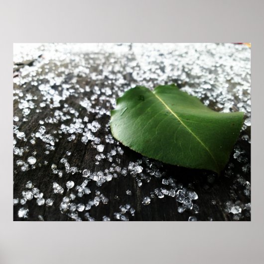 Eerste winterweer poster (Voorkant)