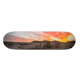 Eerste zondag van de dag skateboard