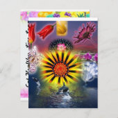 Eet Briefkaart (Voorkant / Achterkant)