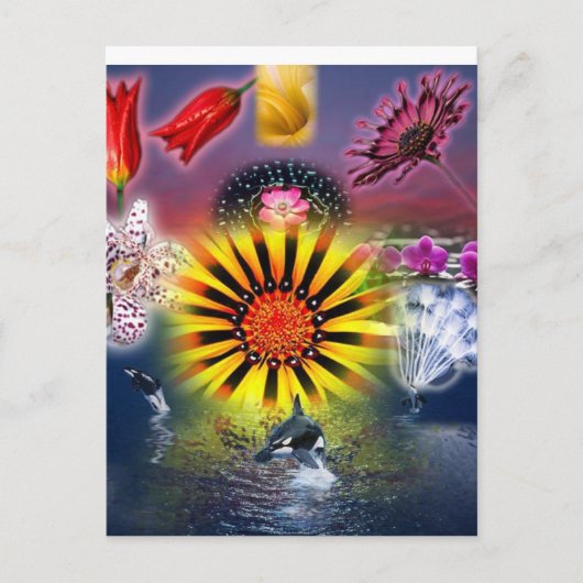 Eet Briefkaart (Voorkant)