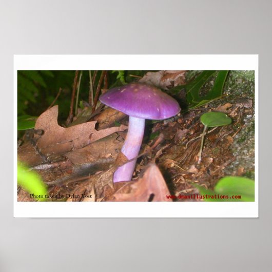 Eet de paddenstoel niet poster (Voorkant)