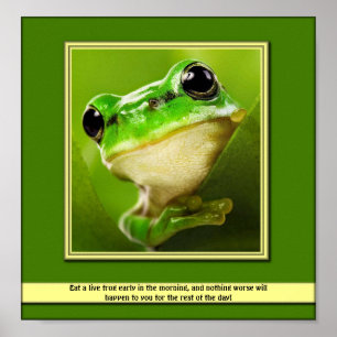 Eet een levend kikker-Poster Poster